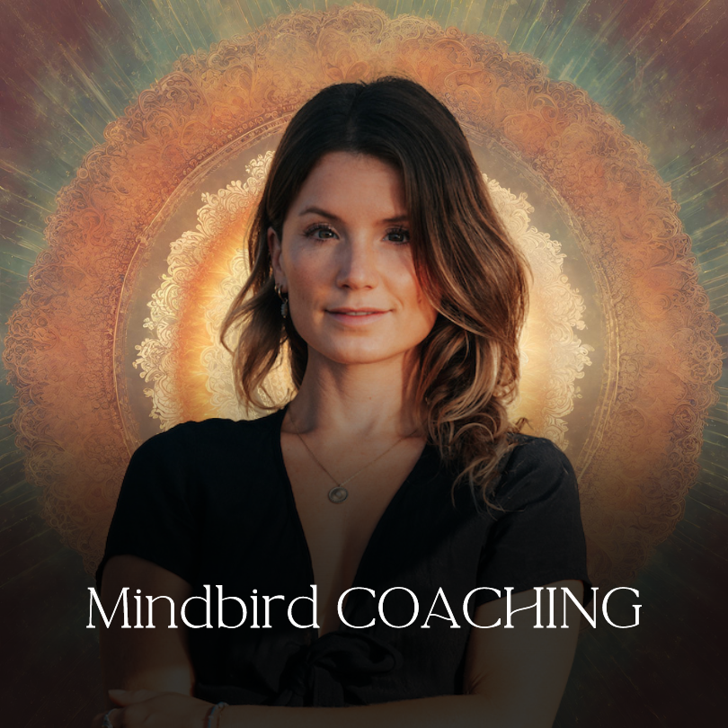 Mindbird Coaching | mit Tiefenmeditation | circa 70 Minuten