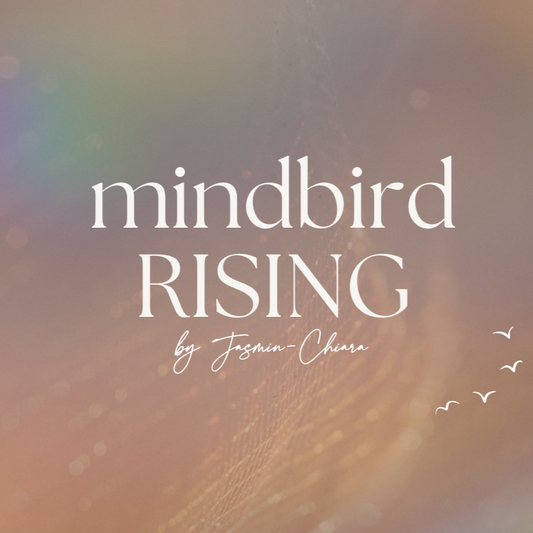 Mindbird Rising - Dein exklusives 8 Wochen Gruppencoaching